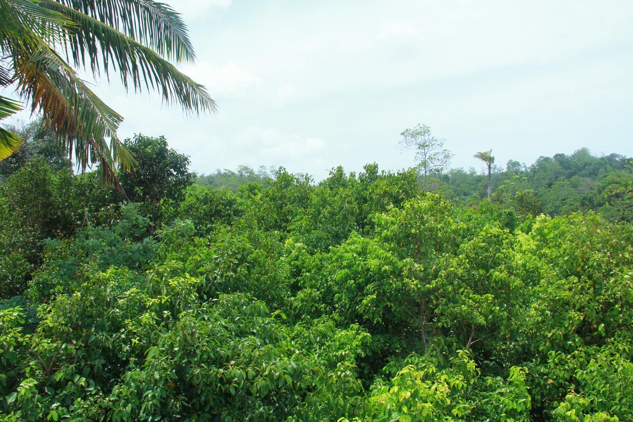 Mirissa Eco Hills Villa Bagian luar foto